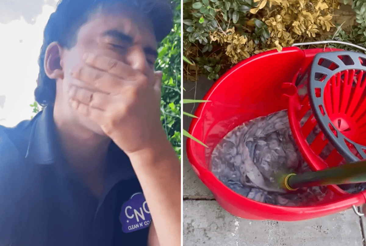 Professional cleaners say Aussies make one big mistake when doing this chore, causing damage
